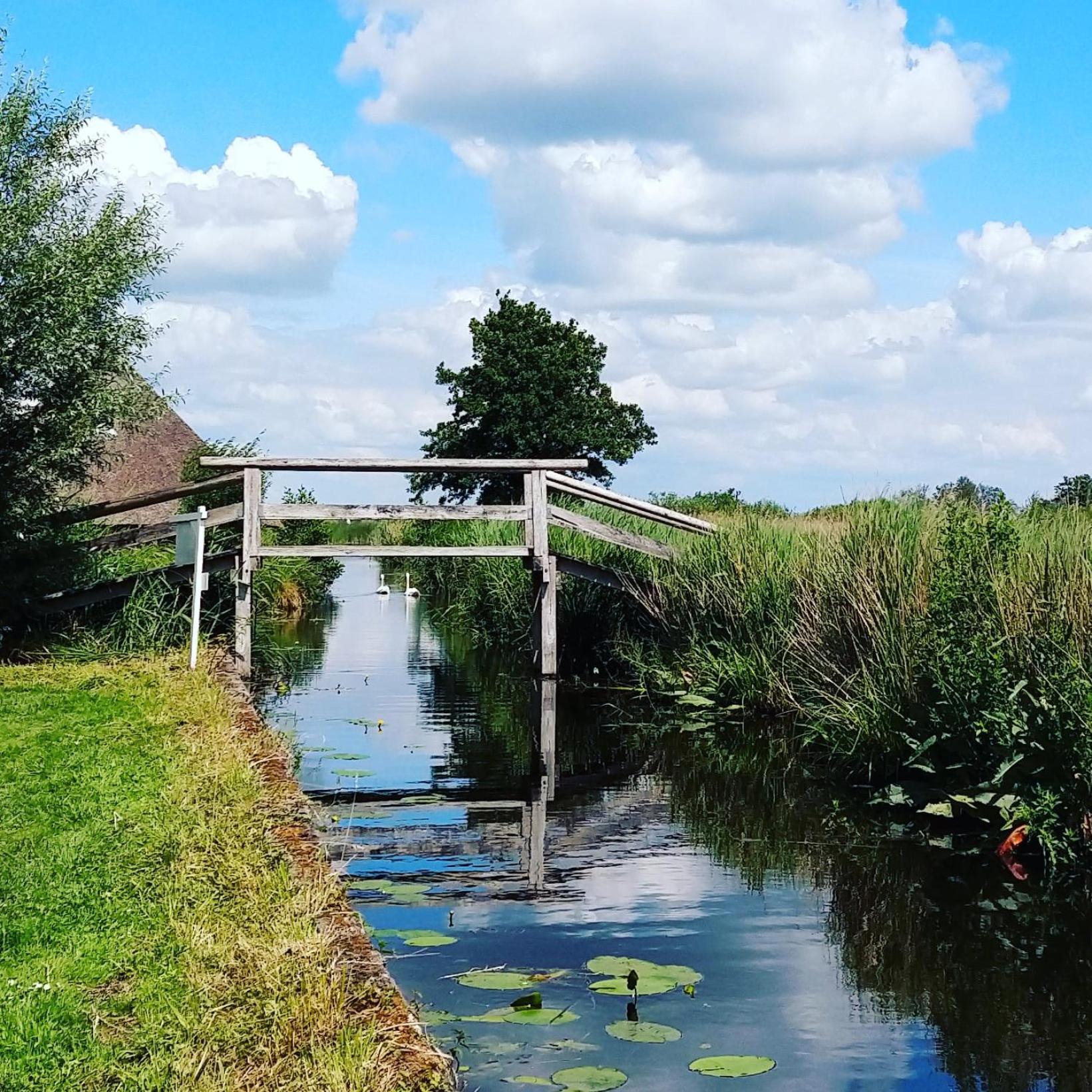Het Waterhoentje Sint Jansklooster Kültér fotó